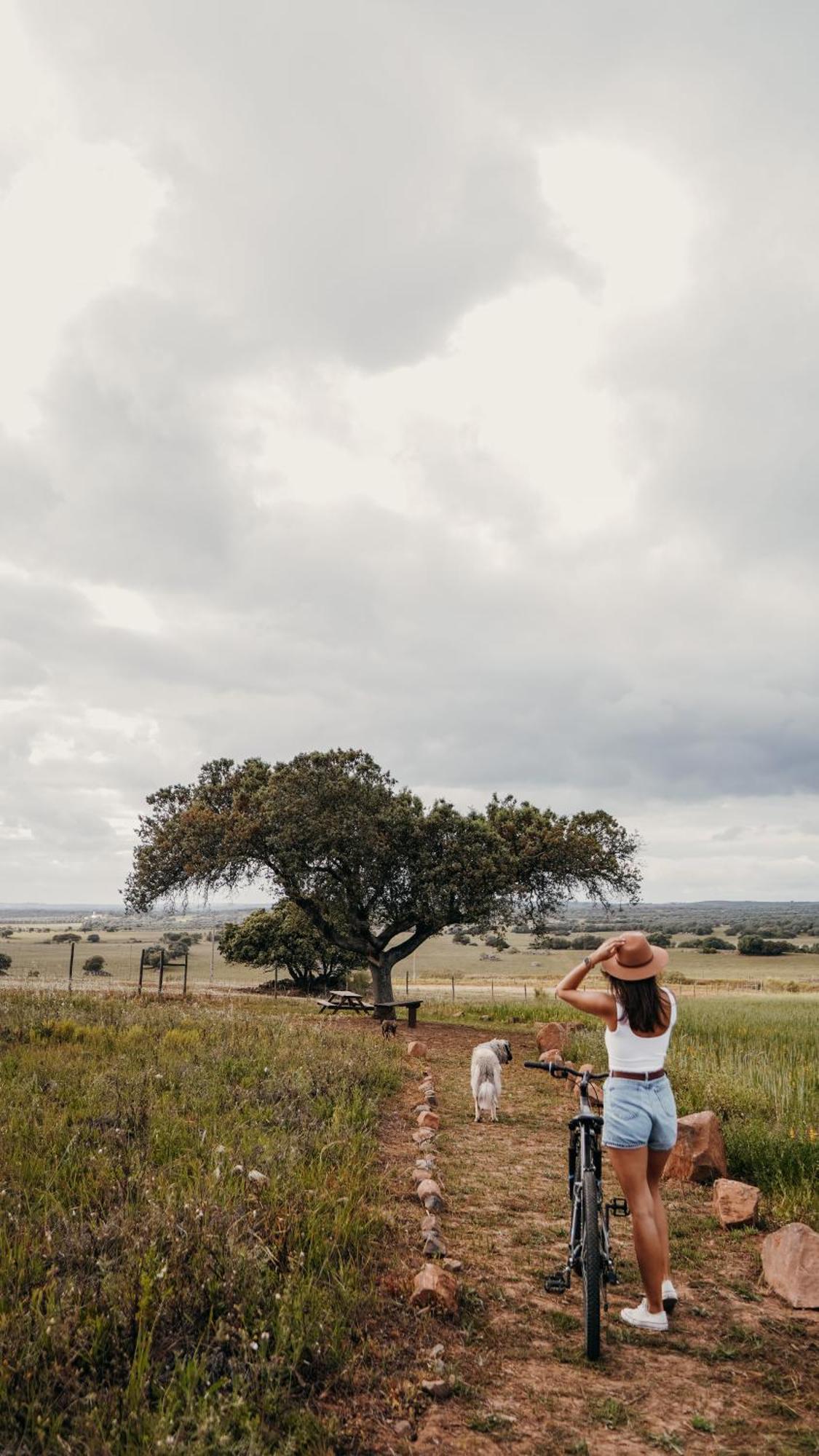 Montimerso Skyscape Countryhouse Monsaraz Extérieur photo