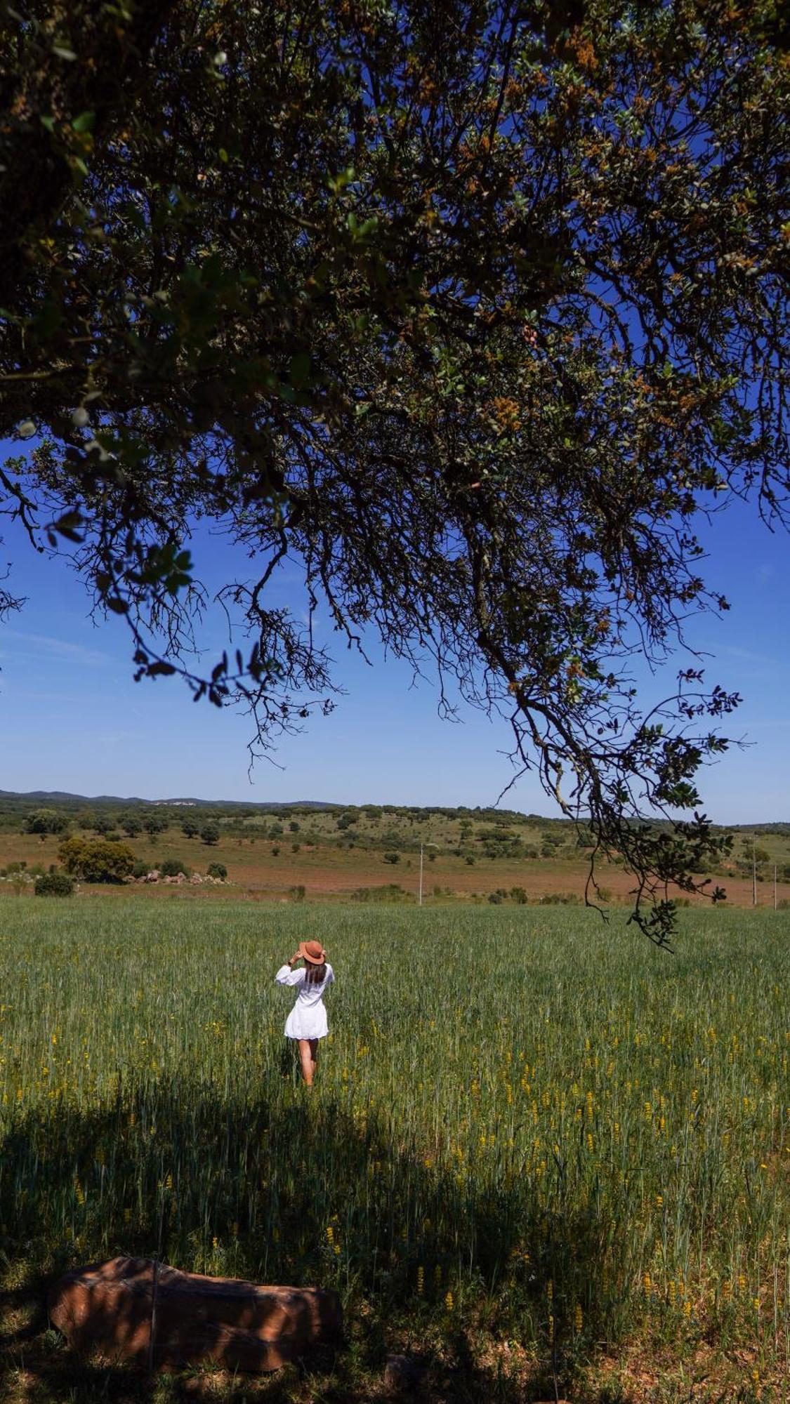 Montimerso Skyscape Countryhouse Monsaraz Extérieur photo