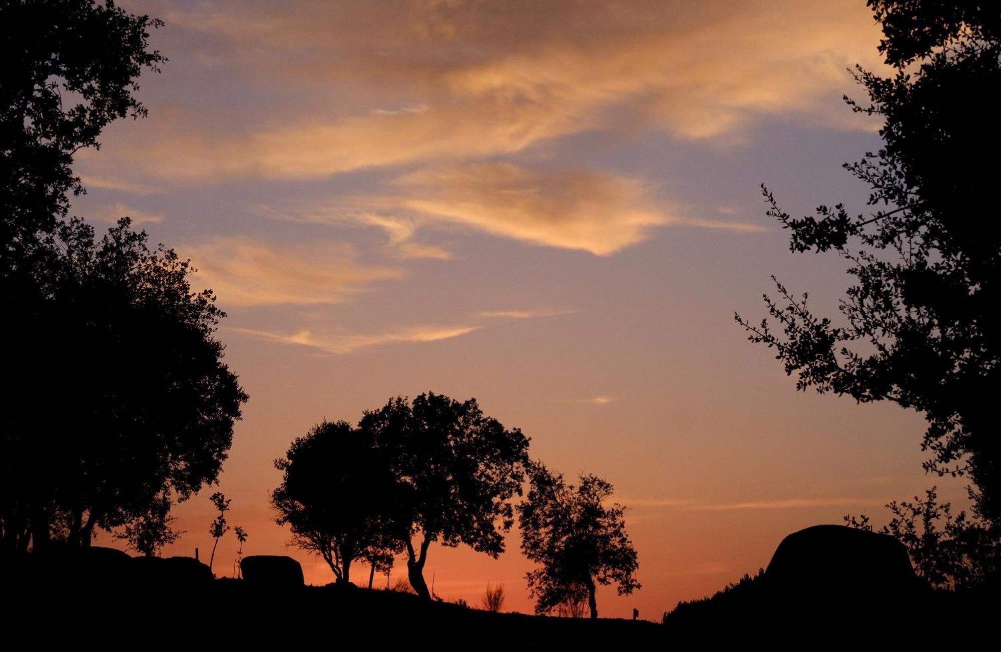Montimerso Skyscape Countryhouse Monsaraz Extérieur photo